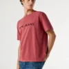 Camiseta de corte regular con logotipo bordado
