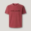 Camiseta de corte regular con logotipo bordado