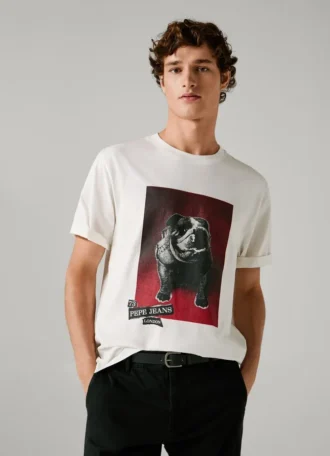 Camiseta estampada de corte regular