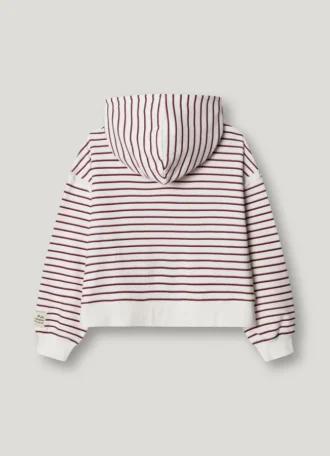 Sudadera con capucha a rayas