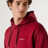 Sudadera con capucha de corte regular Sudadera con capucha de corte regular